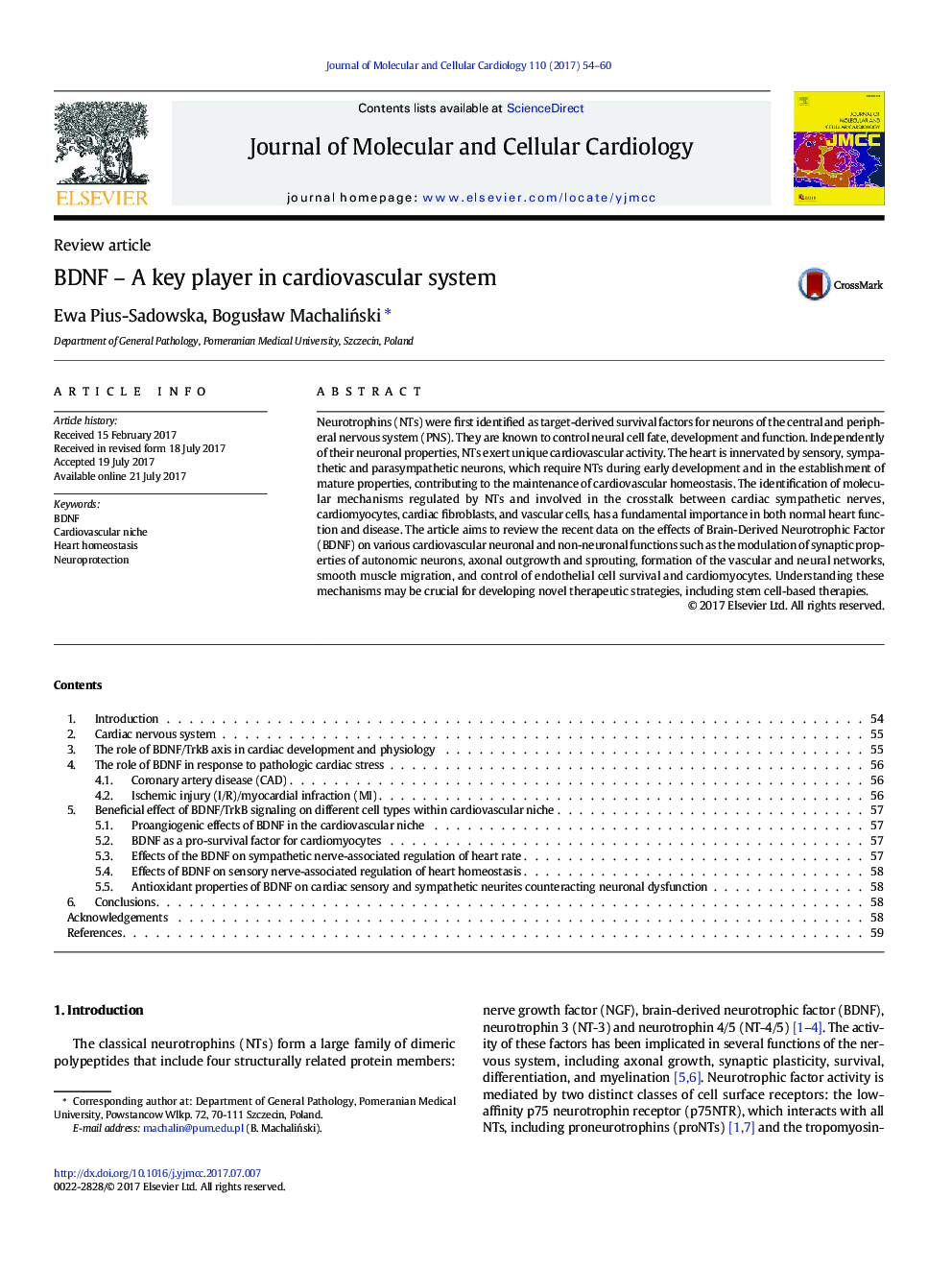 Review articleBDNF - A key player in cardiovascular system