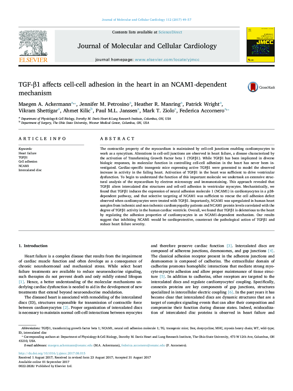 TGF-Î²1 affects cell-cell adhesion in the heart in an NCAM1-dependent mechanism