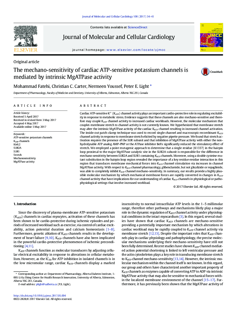 Original articleThe mechano-sensitivity of cardiac ATP-sensitive potassium channels is mediated by intrinsic MgATPase activity