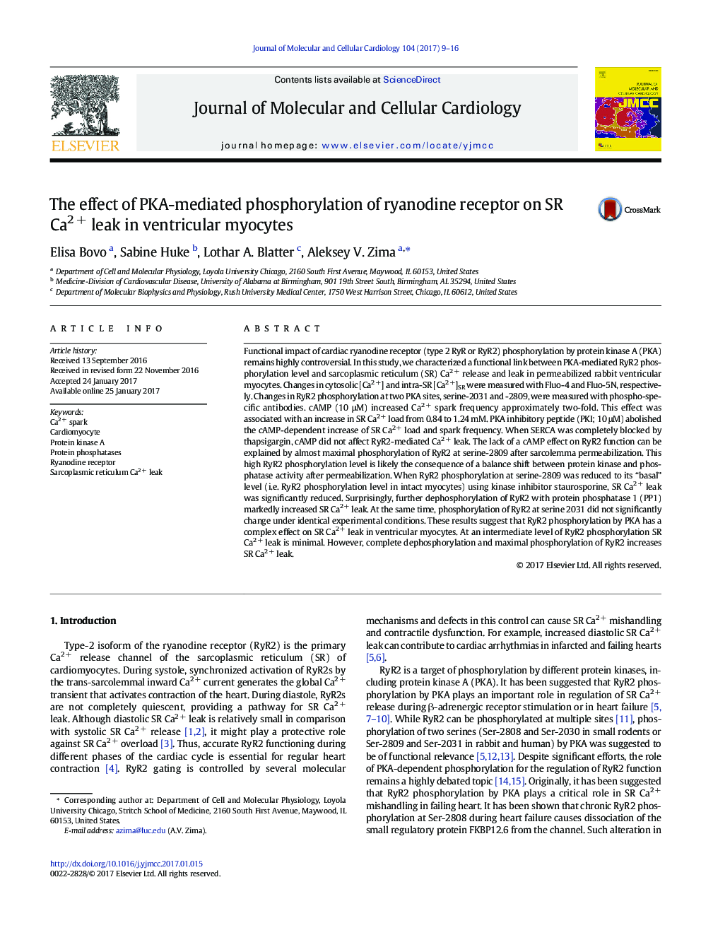 The effect of PKA-mediated phosphorylation of ryanodine receptor on SR Ca2Â + leak in ventricular myocytes