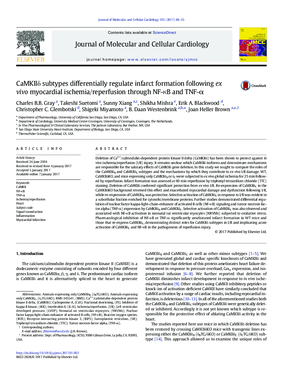 CaMKIIÎ´ subtypes differentially regulate infarct formation following ex vivo myocardial ischemia/reperfusion through NF-ÎºB and TNF-Î±