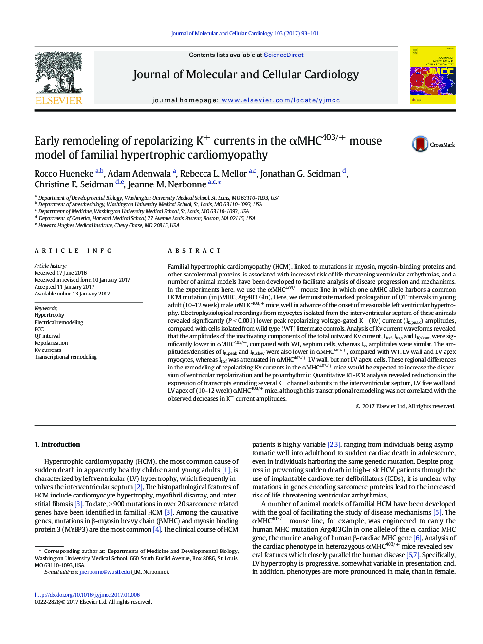 Early remodeling of repolarizing K+ currents in the Î±MHC403/+ mouse model of familial hypertrophic cardiomyopathy