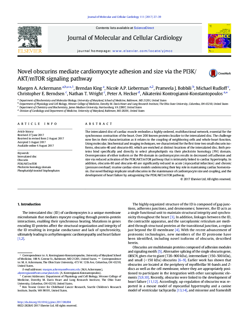 Novel obscurins mediate cardiomyocyte adhesion and size via the PI3K/AKT/mTOR signaling pathway