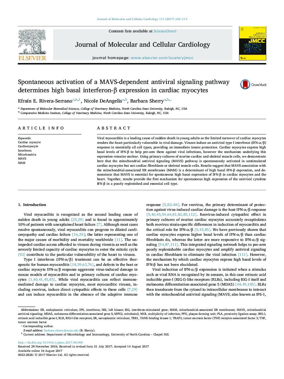 Spontaneous activation of a MAVS-dependent antiviral signaling pathway determines high basal interferon-Î² expression in cardiac myocytes