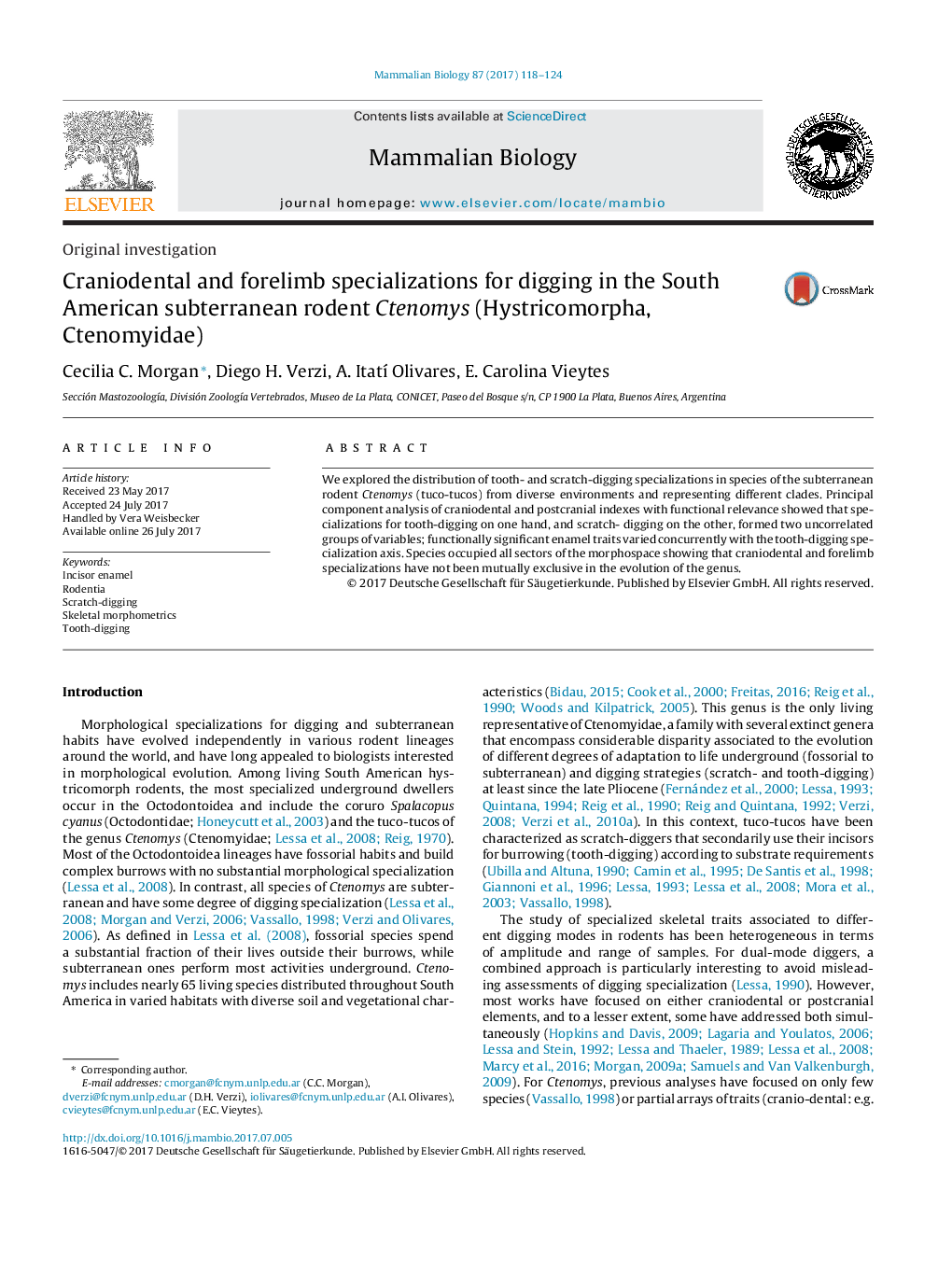 Original investigationCraniodental and forelimb specializations for digging in the South American subterranean rodent Ctenomys (Hystricomorpha, Ctenomyidae)