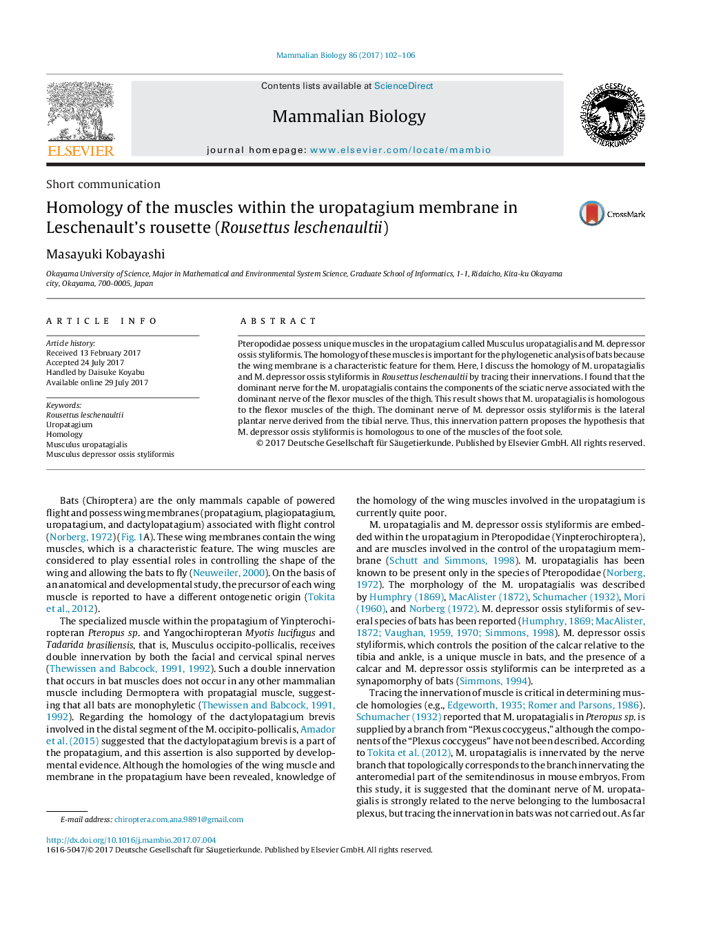 Short communicationHomology of the muscles within the uropatagium membrane in Leschenault's rousette (Rousettus leschenaultii)