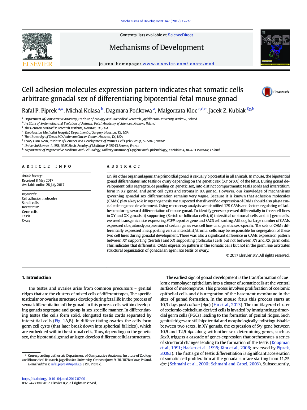 Cell adhesion molecules expression pattern indicates that somatic cells arbitrate gonadal sex of differentiating bipotential fetal mouse gonad