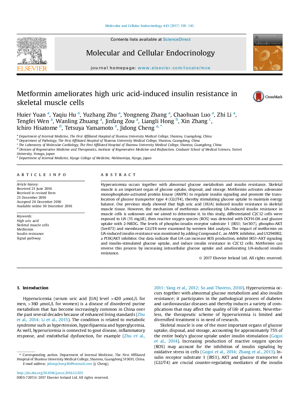 Metformin ameliorates high uric acid-induced insulin resistance in skeletal muscle cells