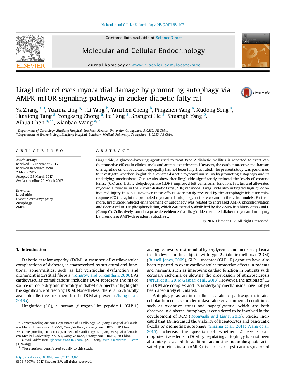 Liraglutide relieves myocardial damage by promoting autophagy via AMPK-mTOR signaling pathway in zucker diabetic fatty rat