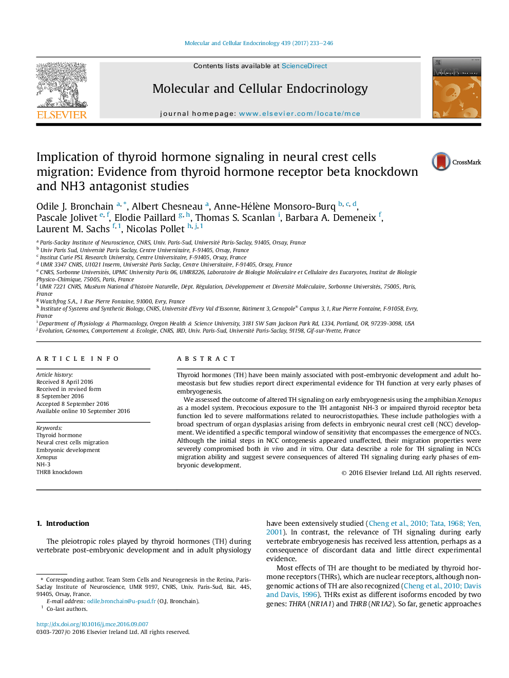 Implication of thyroid hormone signaling in neural crest cells migration: Evidence from thyroid hormone receptor beta knockdown and NH3 antagonist studies