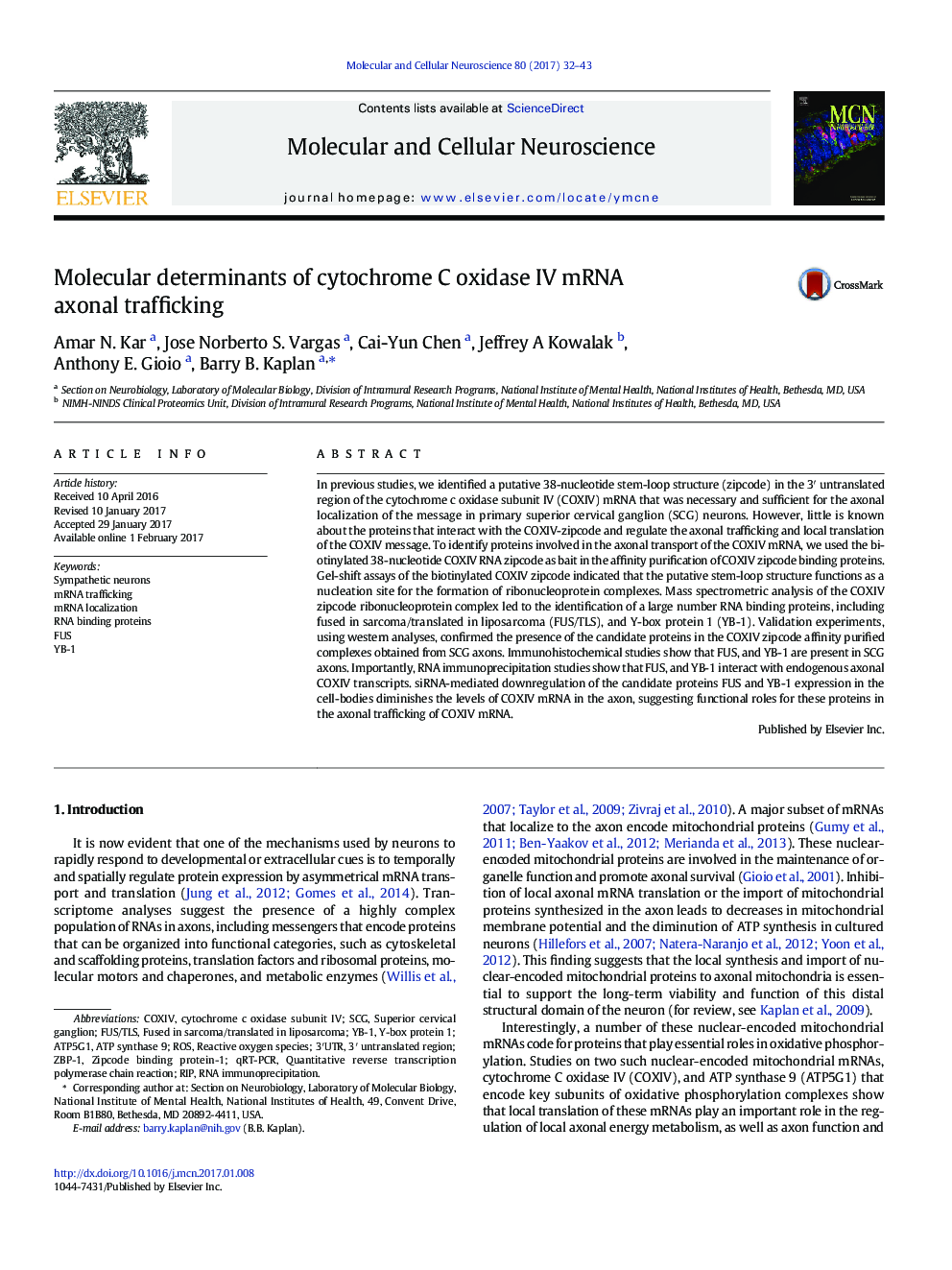 Molecular determinants of cytochrome C oxidase IV mRNA axonal trafficking