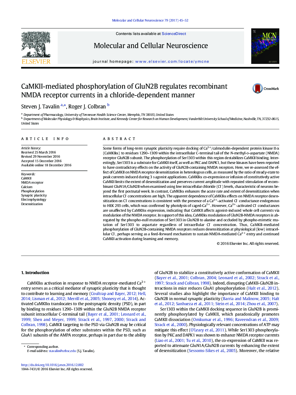 CaMKII-mediated phosphorylation of GluN2B regulates recombinant NMDA receptor currents in a chloride-dependent manner