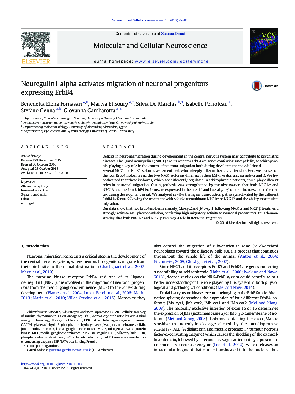 Neuregulin1 alpha activates migration of neuronal progenitors expressing ErbB4