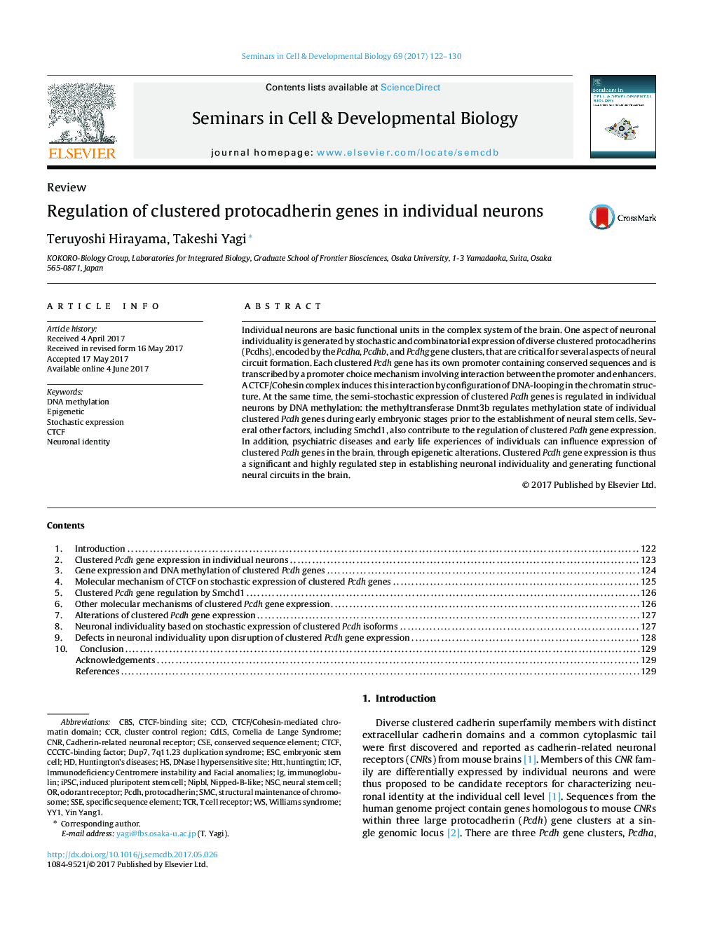 ReviewRegulation of clustered protocadherin genes in individual neurons