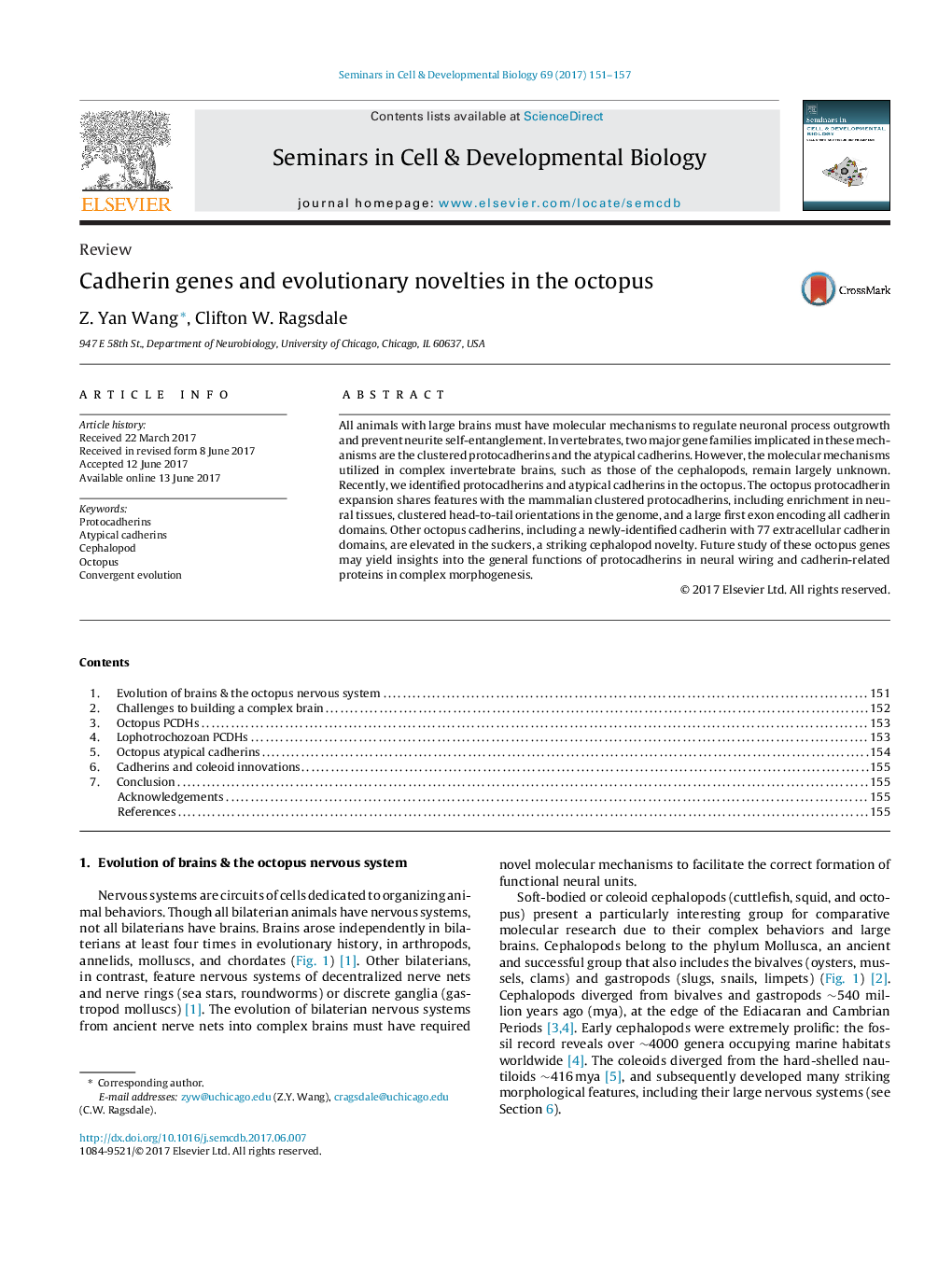 ReviewCadherin genes and evolutionary novelties in the octopus