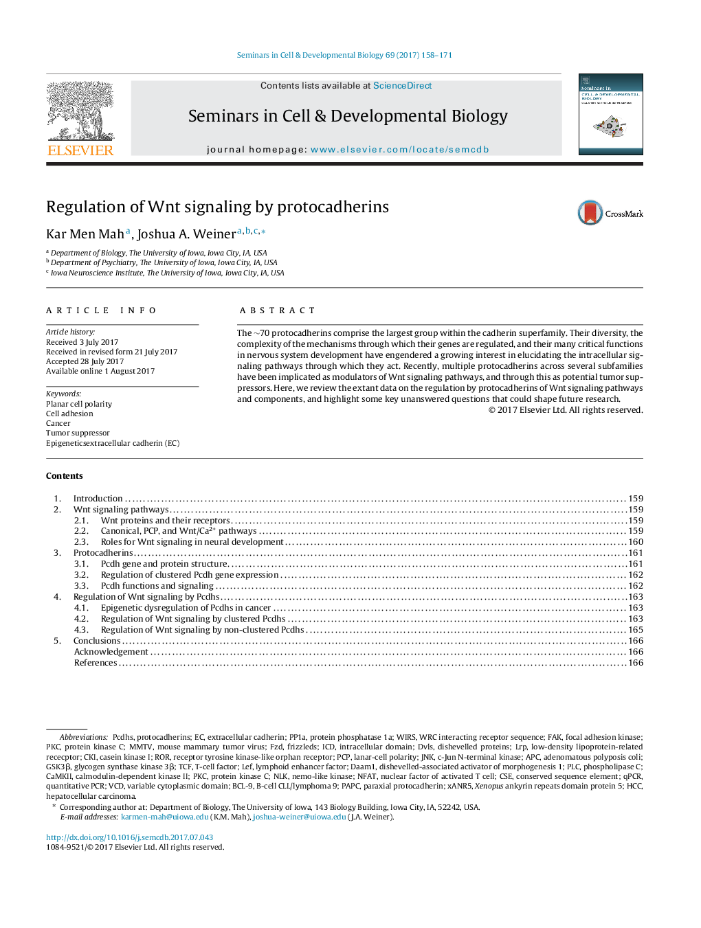 Regulation of Wnt signaling by protocadherins