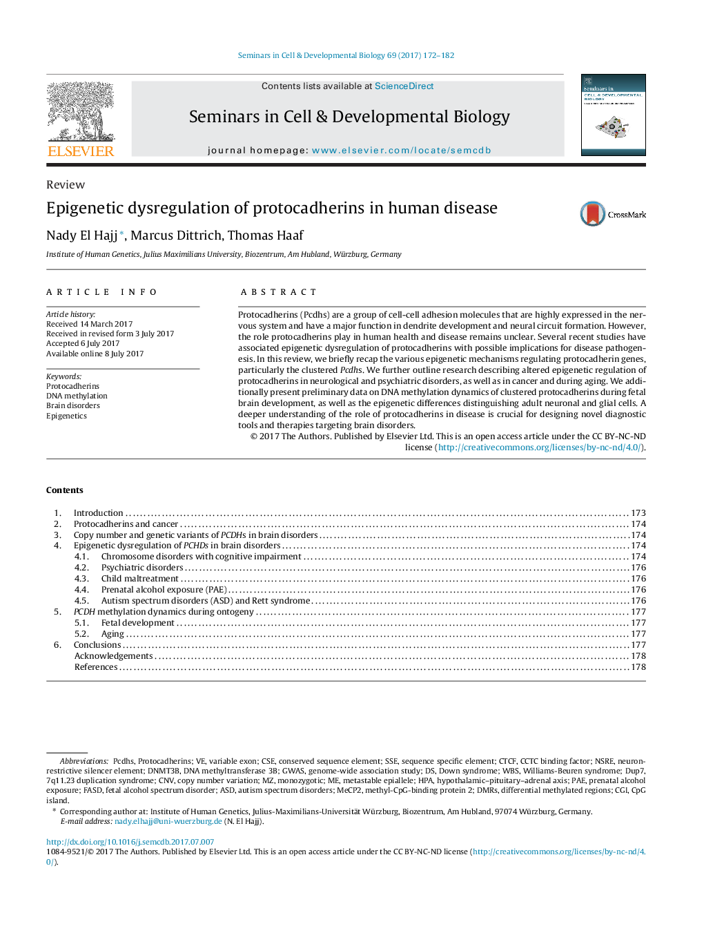 Epigenetic dysregulation of protocadherins in human disease