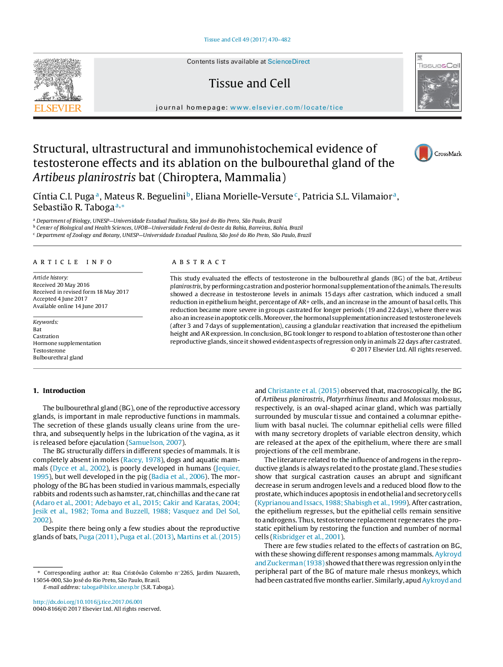 Structural, ultrastructural and immunohistochemical evidence of testosterone effects and its ablation on the bulbourethal gland of the Artibeus planirostris bat (Chiroptera, Mammalia)