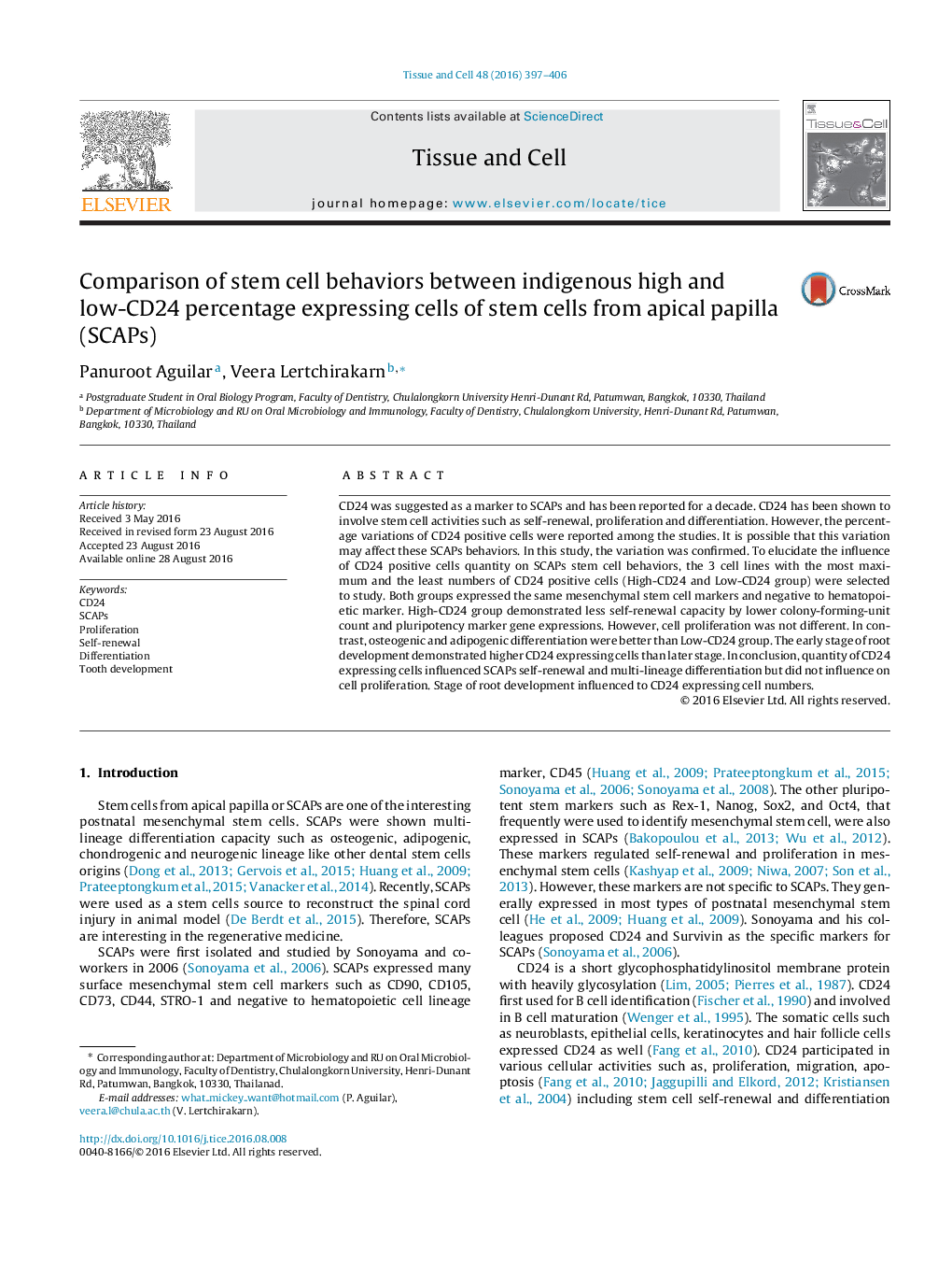 Comparison of stem cell behaviors between indigenous high and low-CD24 percentage expressing cells of stem cells from apical papilla (SCAPs)