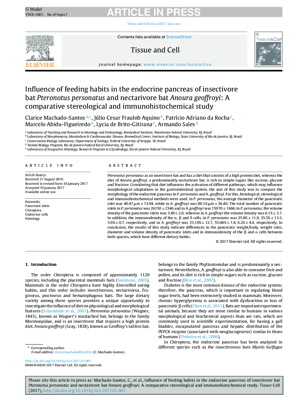 Influence of feeding habits in the endocrine pancreas of insectivore bat Pteronotus personatus and nectarivore bat Anoura geoffroyi: A comparative stereological and immunohistochemical study