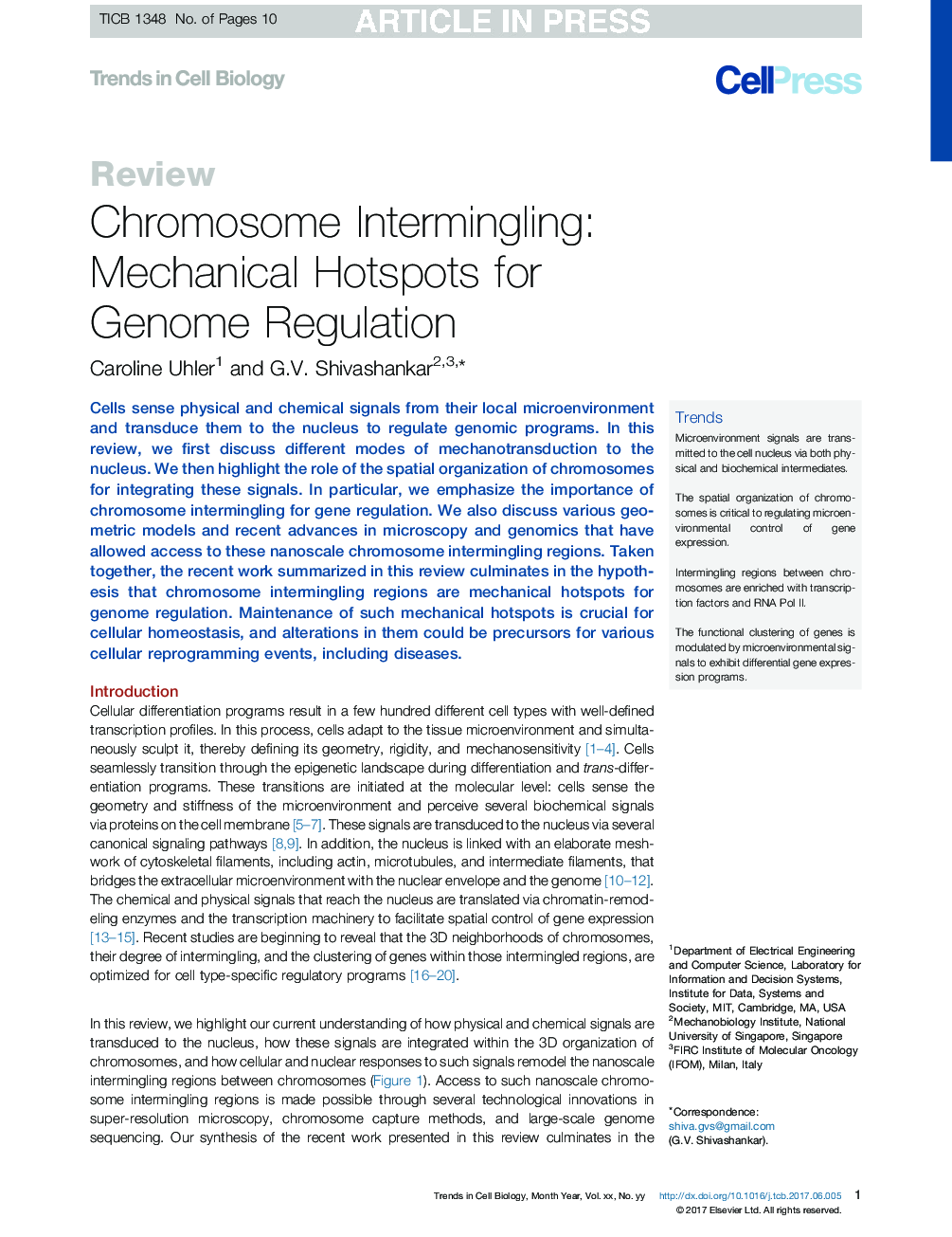 Chromosome Intermingling: Mechanical Hotspots for Genome Regulation
