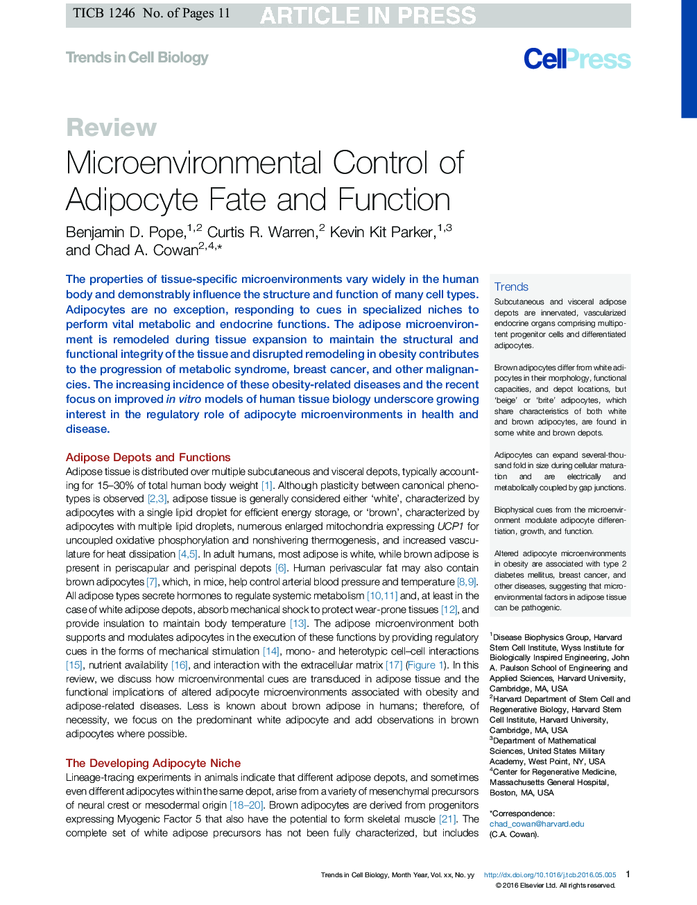 Microenvironmental Control of Adipocyte Fate and Function