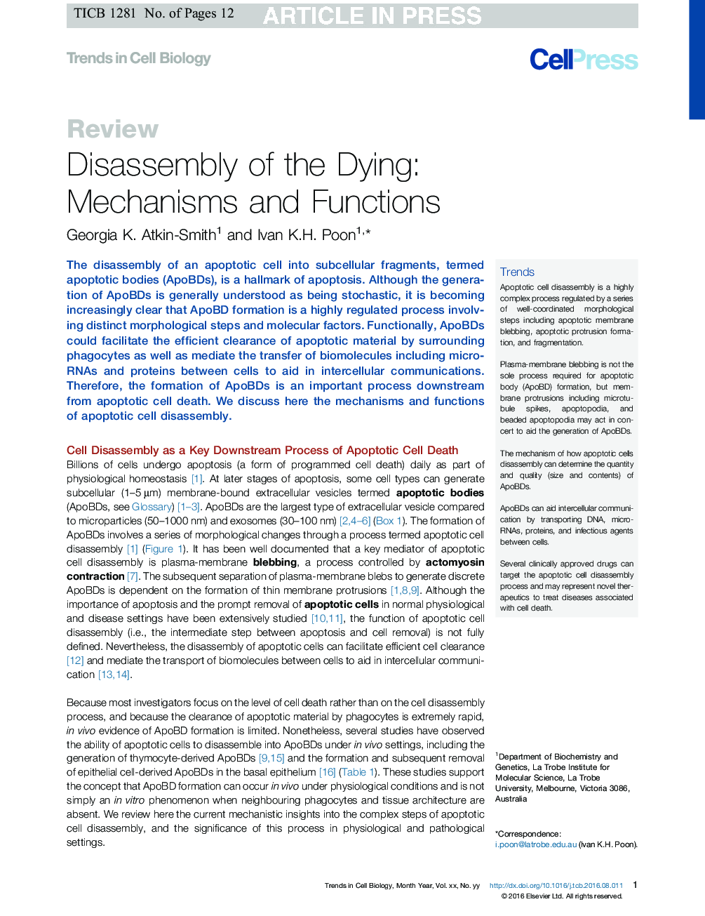 Disassembly of the Dying: Mechanisms and Functions