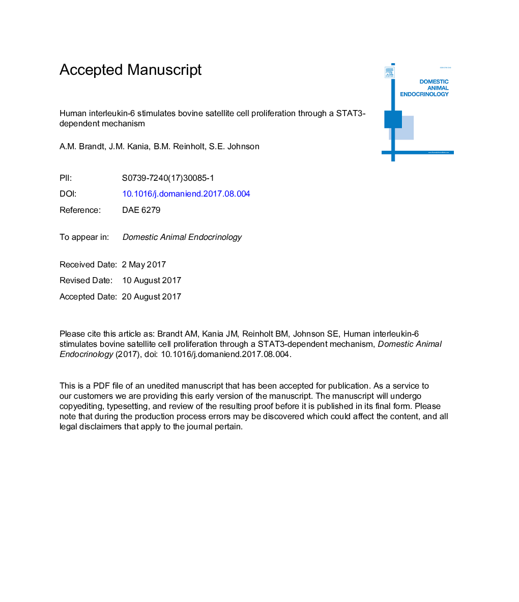 Human IL6 stimulates bovine satellite cell proliferation through a Signal transducer and activator of transcription 3 (STAT3)-dependent mechanism