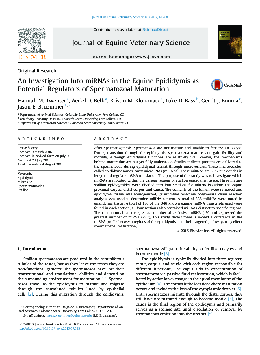 An Investigation Into miRNAs in the Equine Epididymis as Potential Regulators of Spermatozoal Maturation