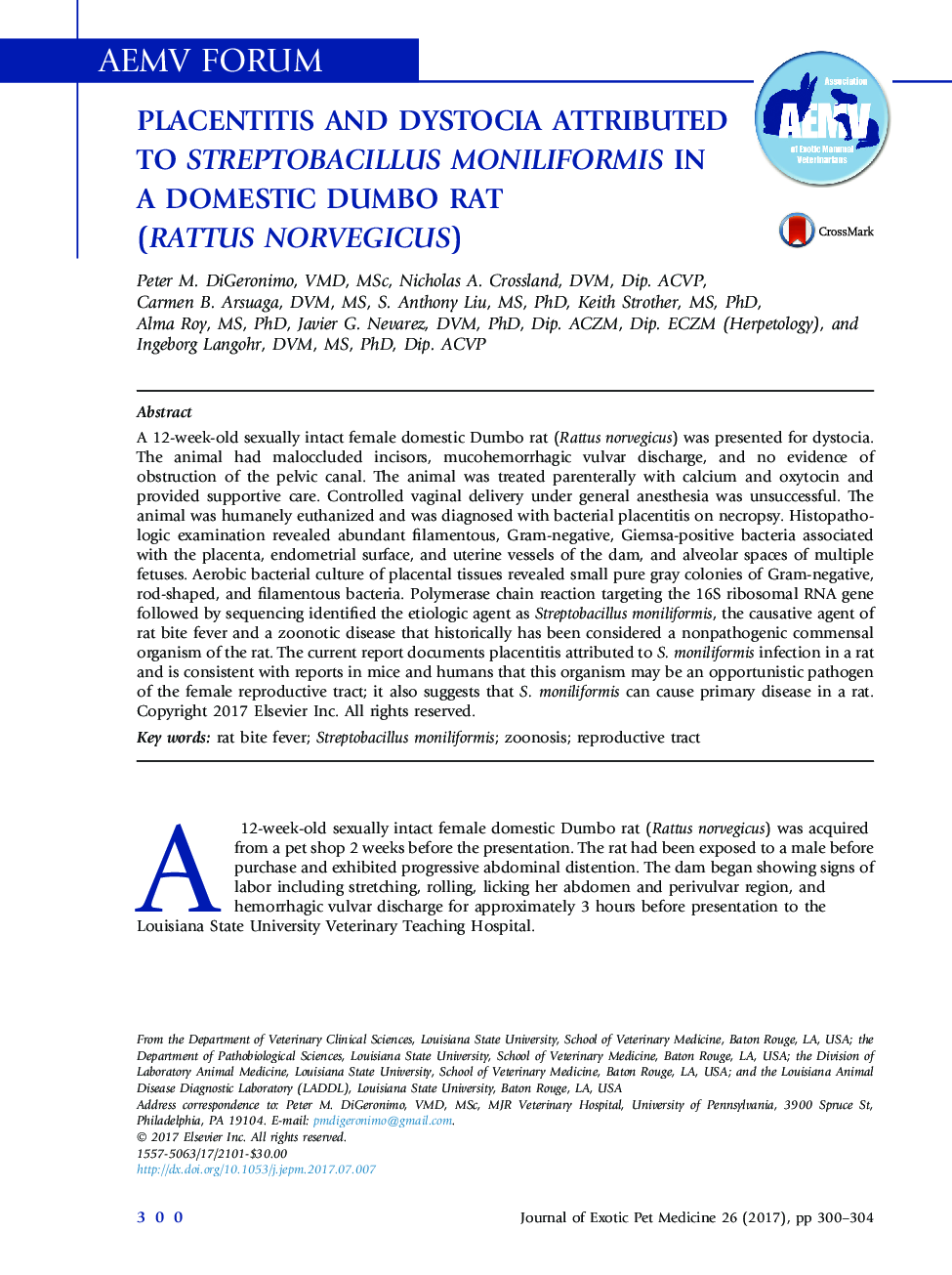 Placentitis and Dystocia Attributed to Streptobacillus moniliformis in a Domestic Dumbo Rat (Rattus norvegicus)