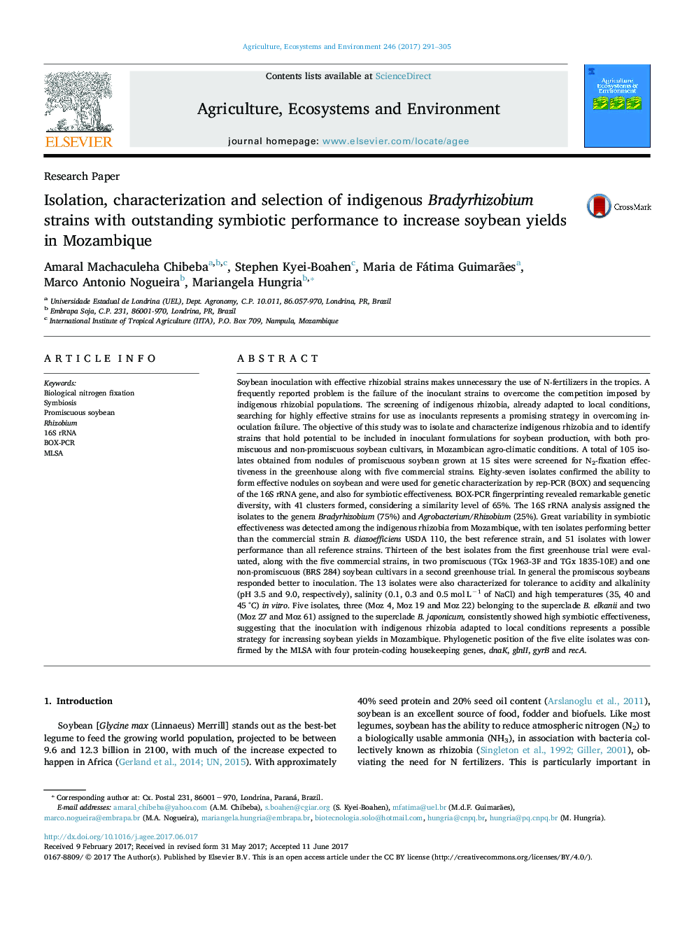 Isolation, characterization and selection of indigenous Bradyrhizobium strains with outstanding symbiotic performance to increase soybean yields in Mozambique