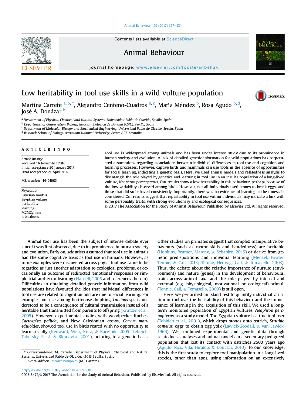 Low heritability in tool use skills in a wild vulture population