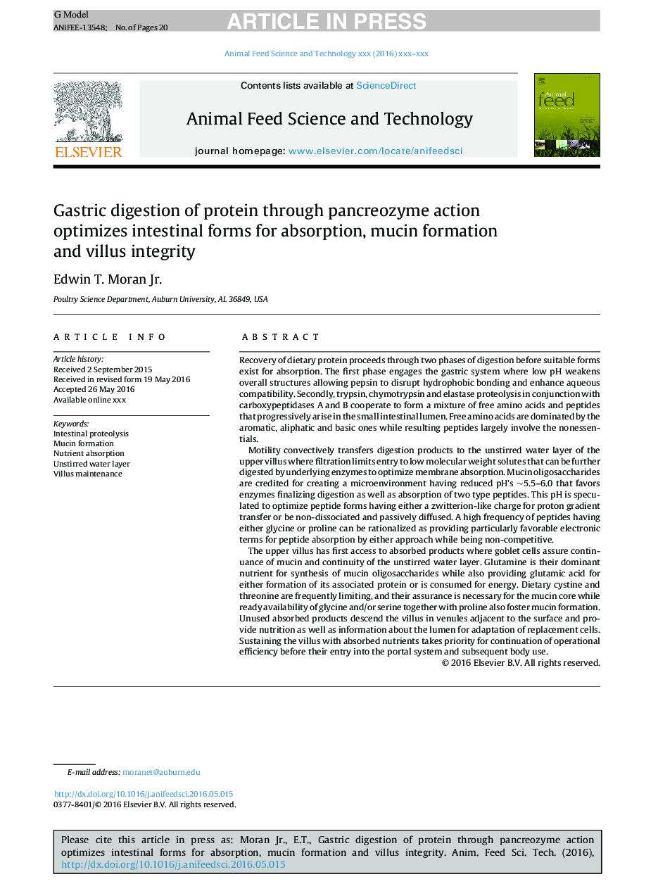 Gastric digestion of protein through pancreozyme action optimizes intestinal forms for absorption, mucin formation and villus integrity