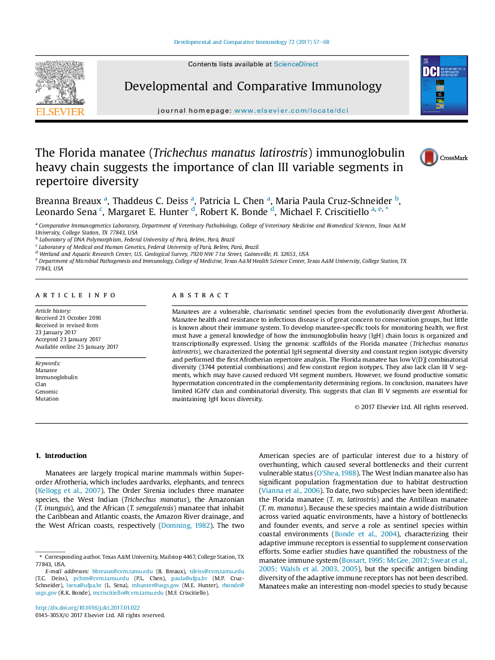 The Florida manatee (Trichechus manatus latirostris) immunoglobulin heavy chain suggests the importance of clan III variable segments in repertoire diversity