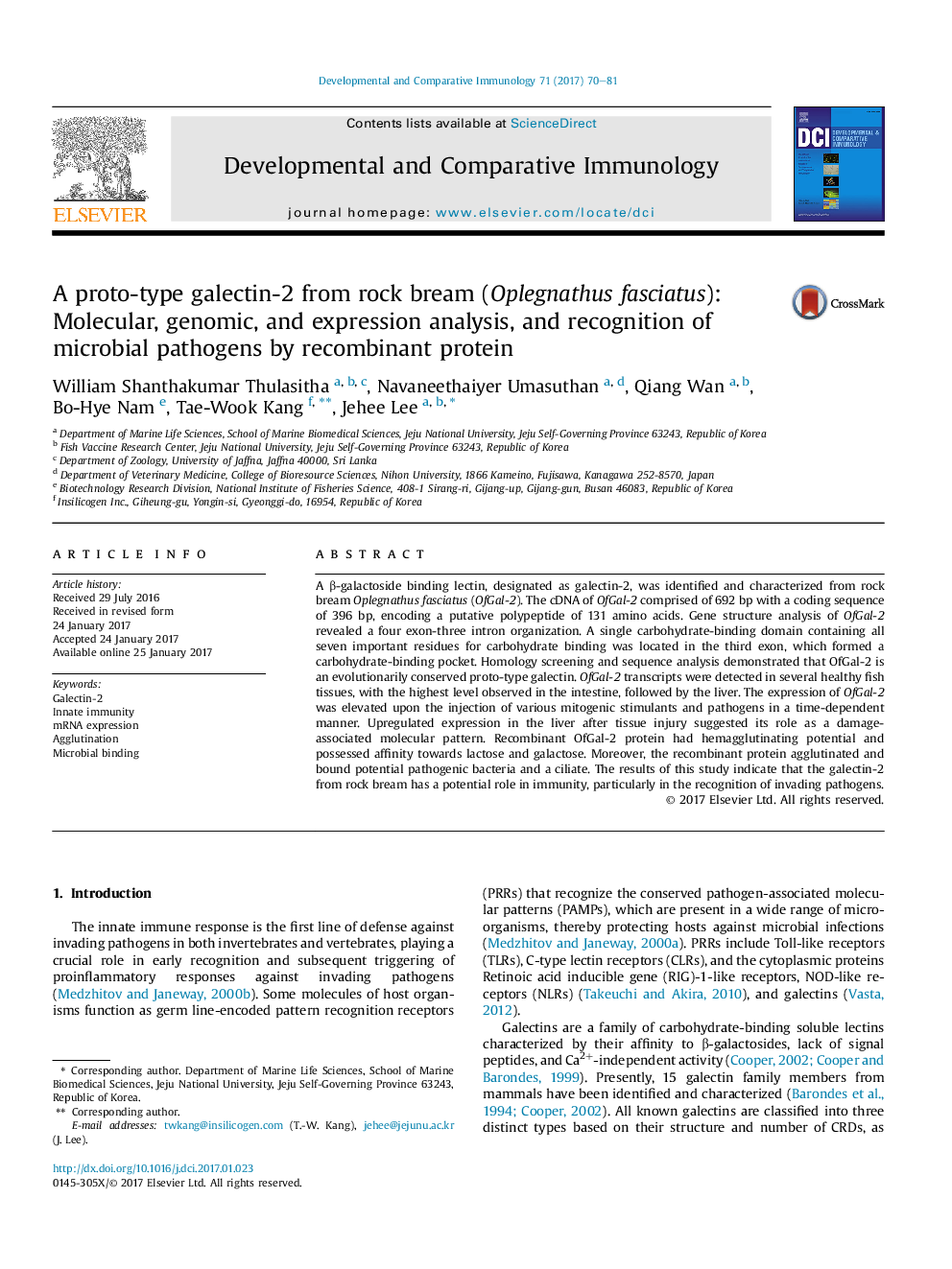 A proto-type galectin-2 from rock bream (Oplegnathus fasciatus): Molecular, genomic, and expression analysis, and recognition of microbial pathogens by recombinant protein