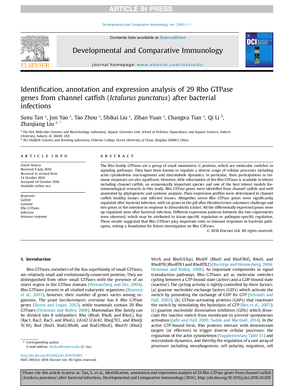 Identification, annotation and expression analysis of 29 Rho GTPase genes from channel catfish (Ictalurus punctatus) after bacterial infections