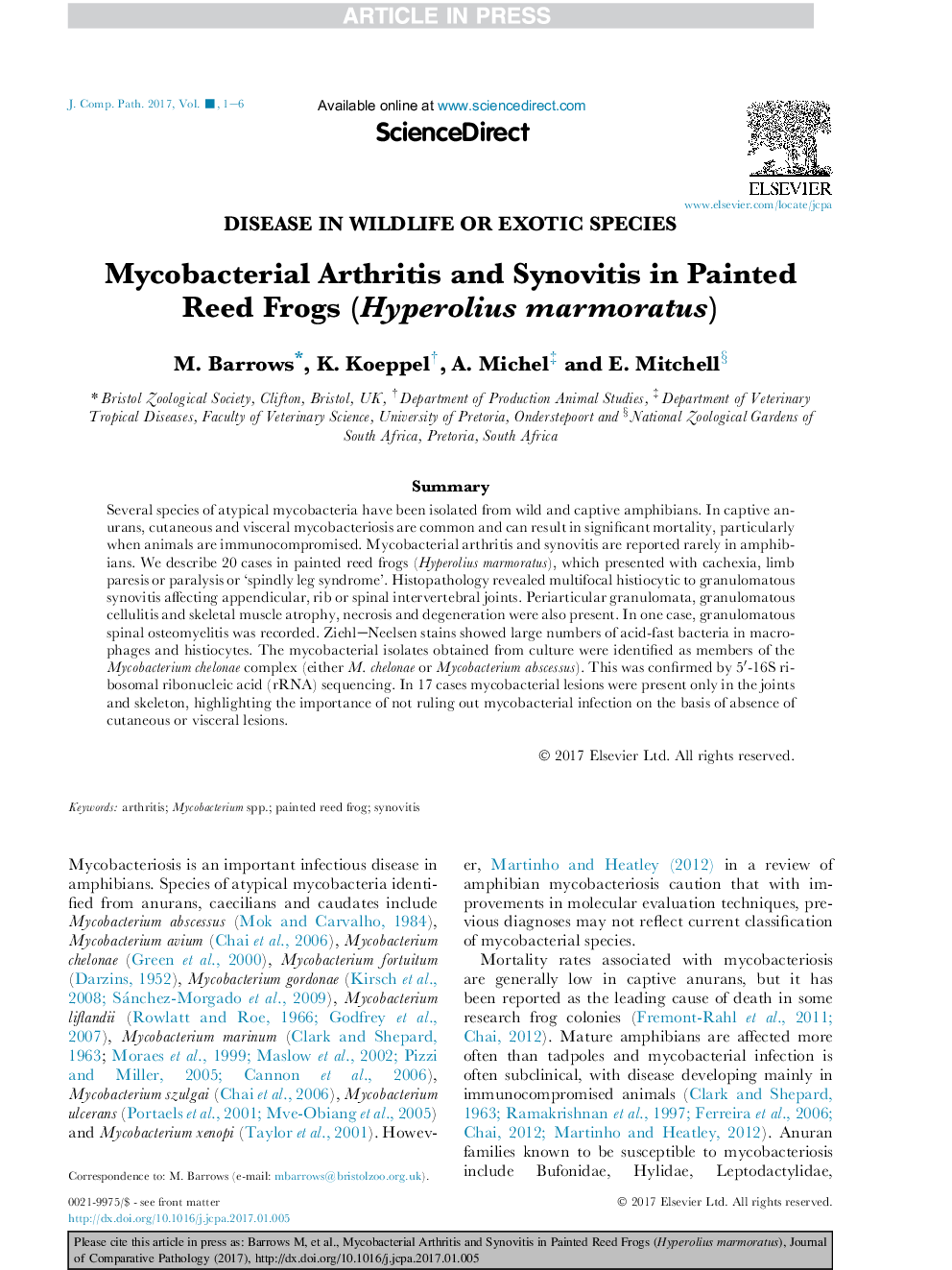 Mycobacterial Arthritis and Synovitis in Painted Reed Frogs (Hyperolius marmoratus)