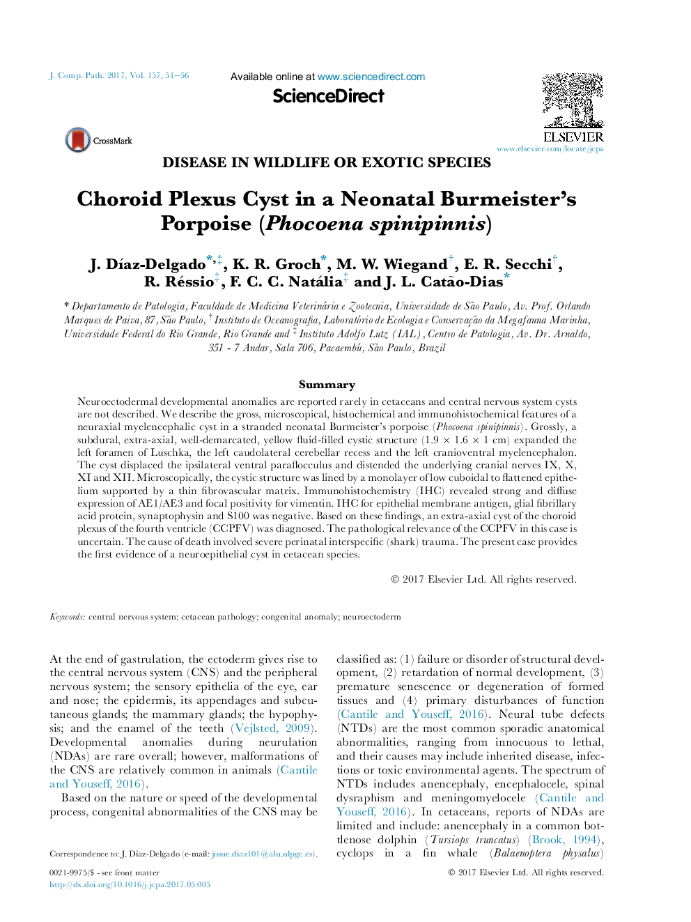 Choroid Plexus Cyst in a Neonatal Burmeister's Porpoise (Phocoena spinipinnis)