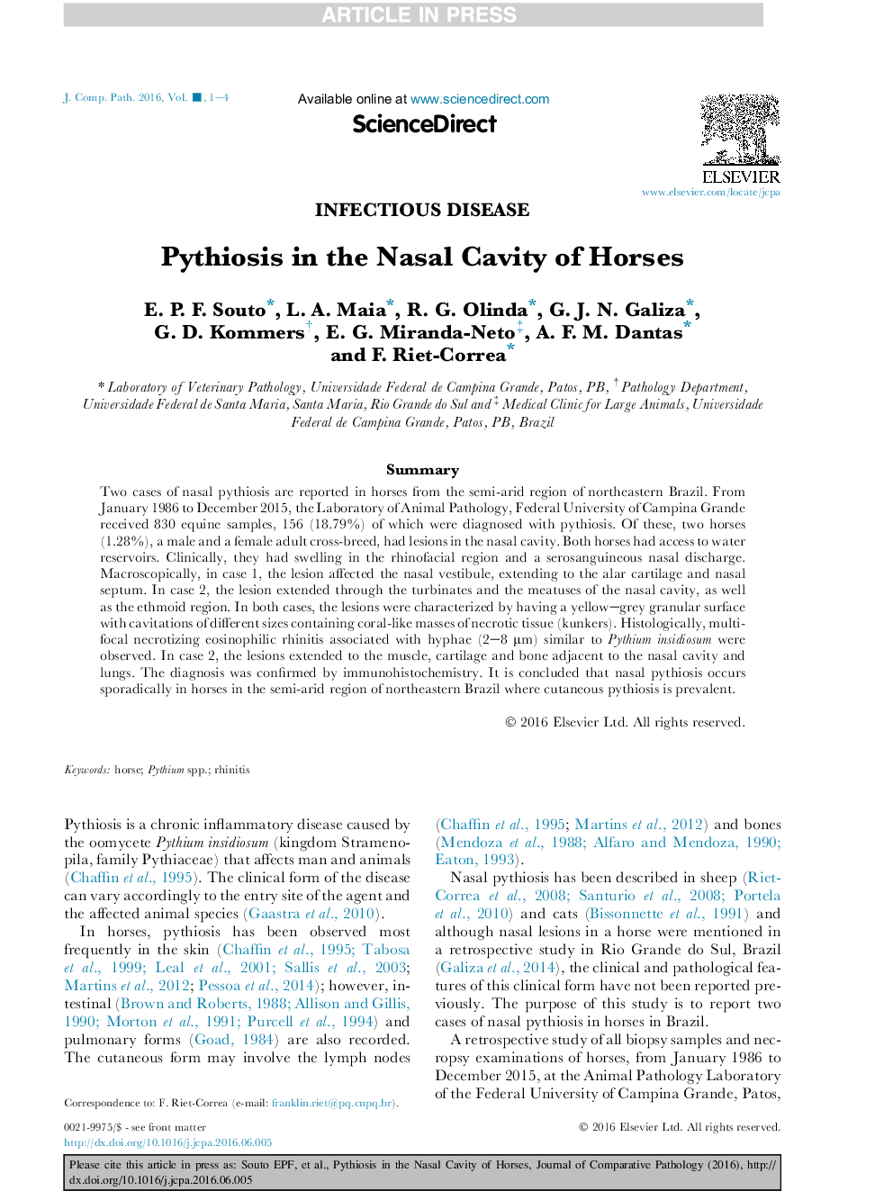 Pythiosis in the Nasal Cavity of Horses