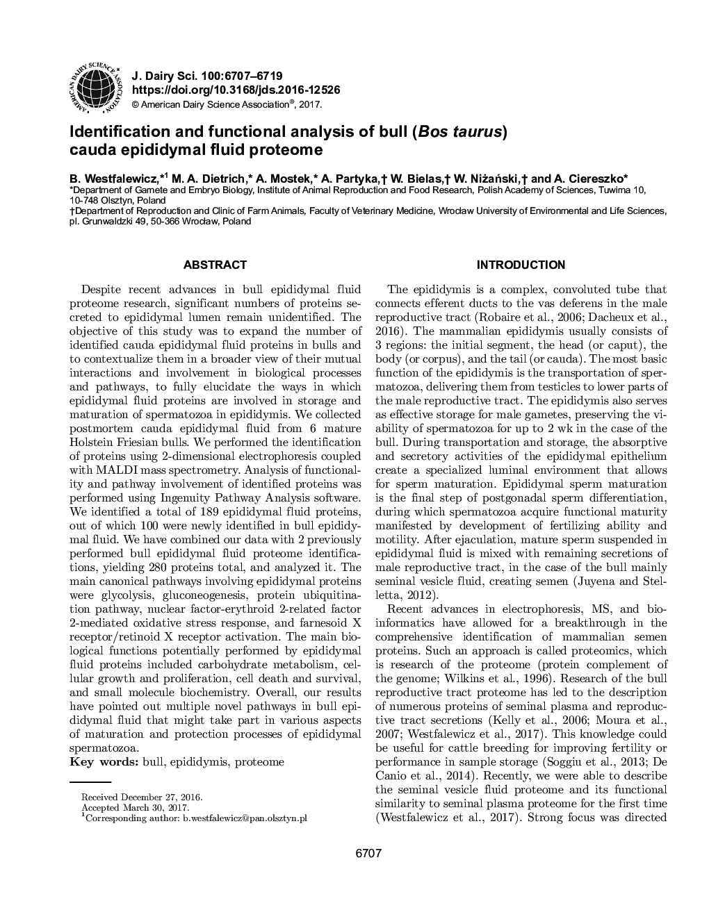 Identification and functional analysis of bull (Bos taurus) cauda epididymal fluid proteome