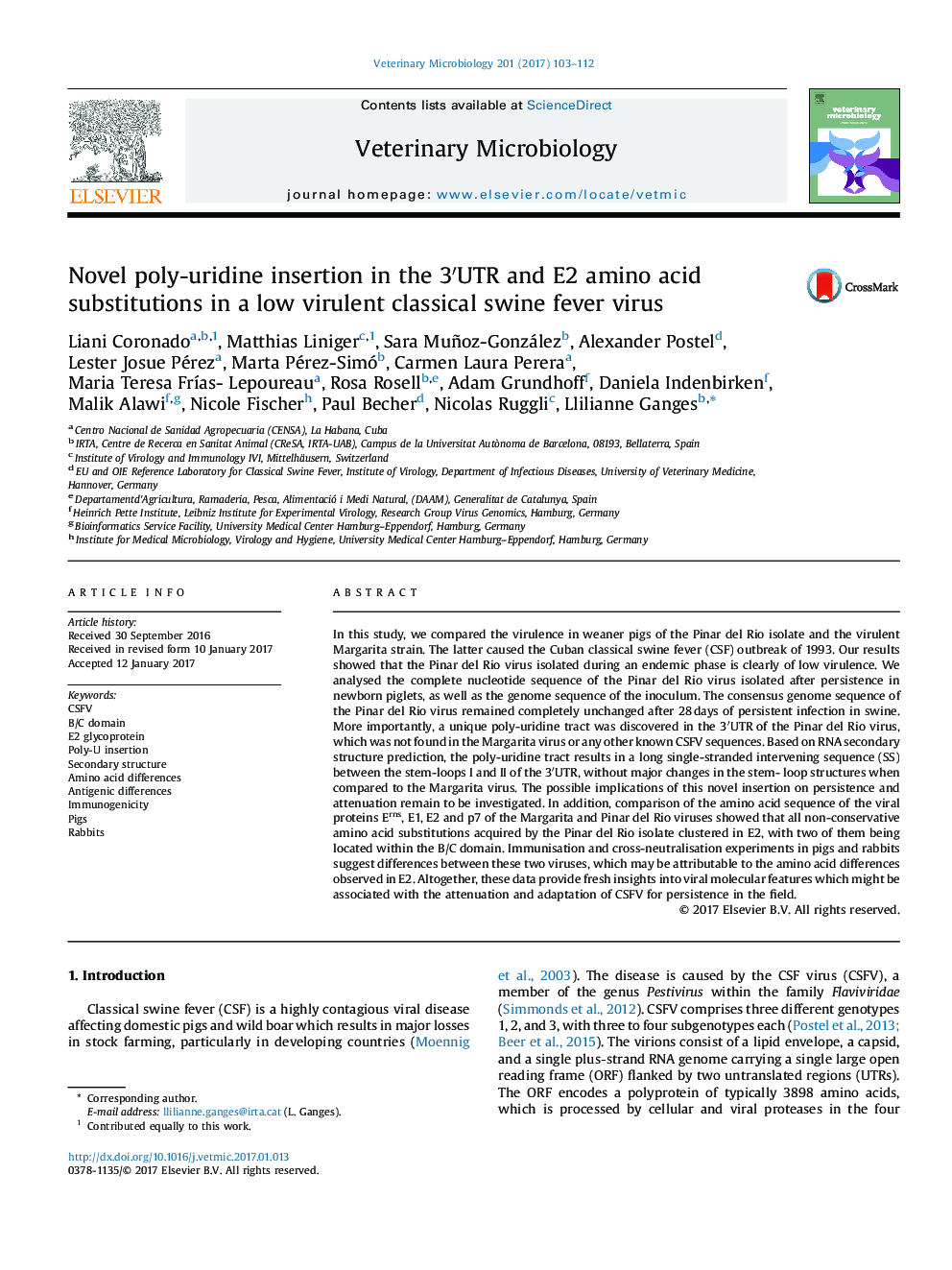 Novel poly-uridine insertion in the 3′UTR and E2 amino acid substitutions in a low virulent classical swine fever virus