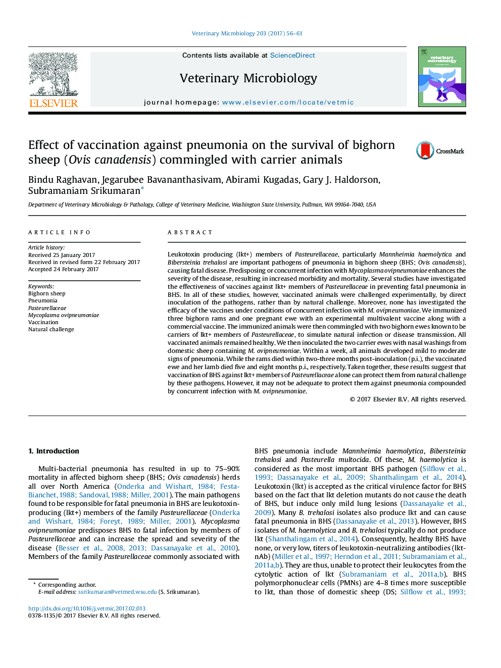 Effect of vaccination against pneumonia on the survival of bighorn sheep (Ovis canadensis) commingled with carrier animals