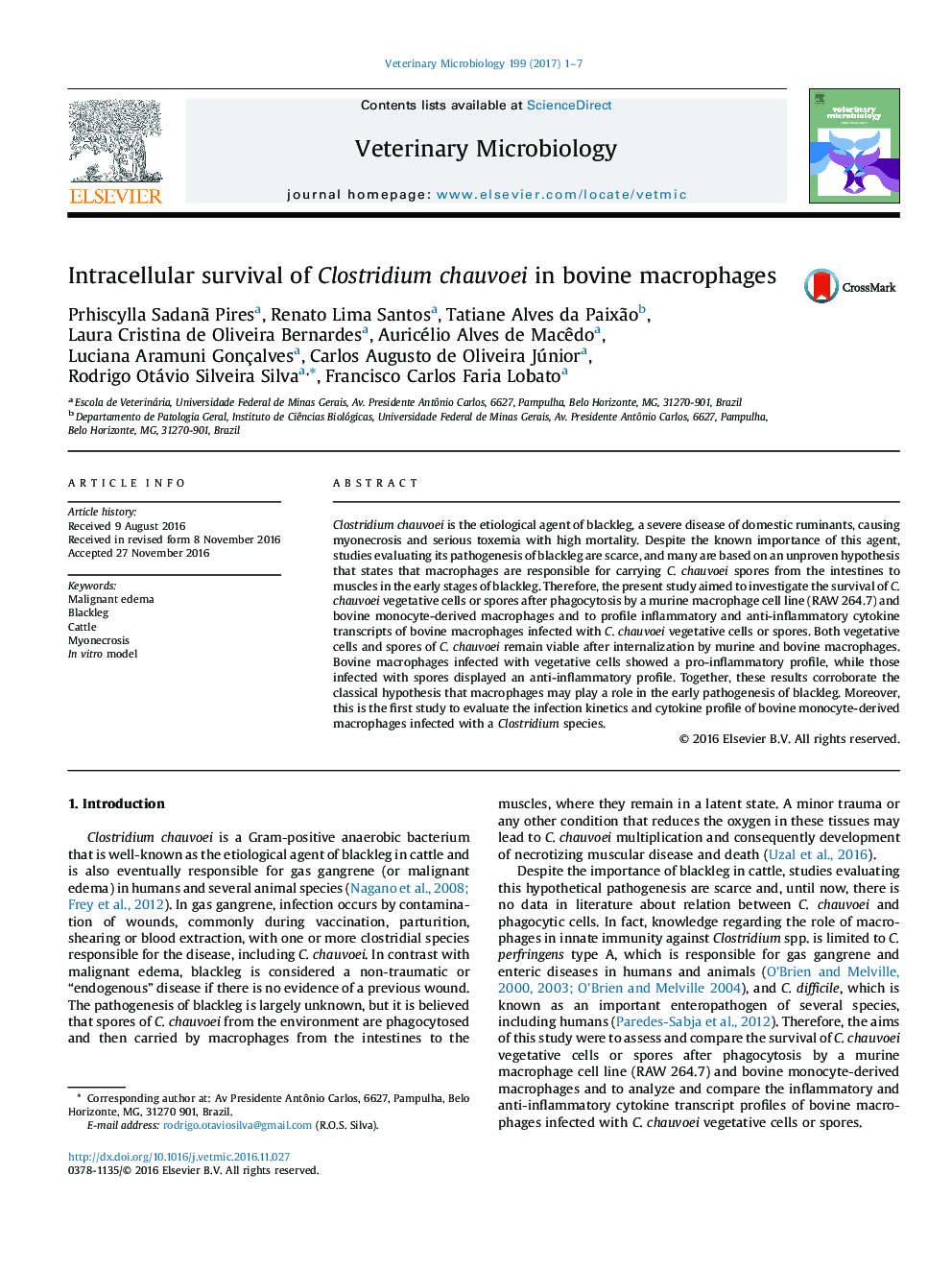 Intracellular survival of Clostridium chauvoei in bovine macrophages