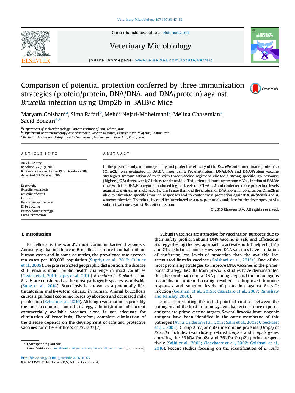 Comparison of potential protection conferred by three immunization strategies (protein/protein, DNA/DNA, and DNA/protein) against Brucella infection using Omp2b in BALB/c Mice