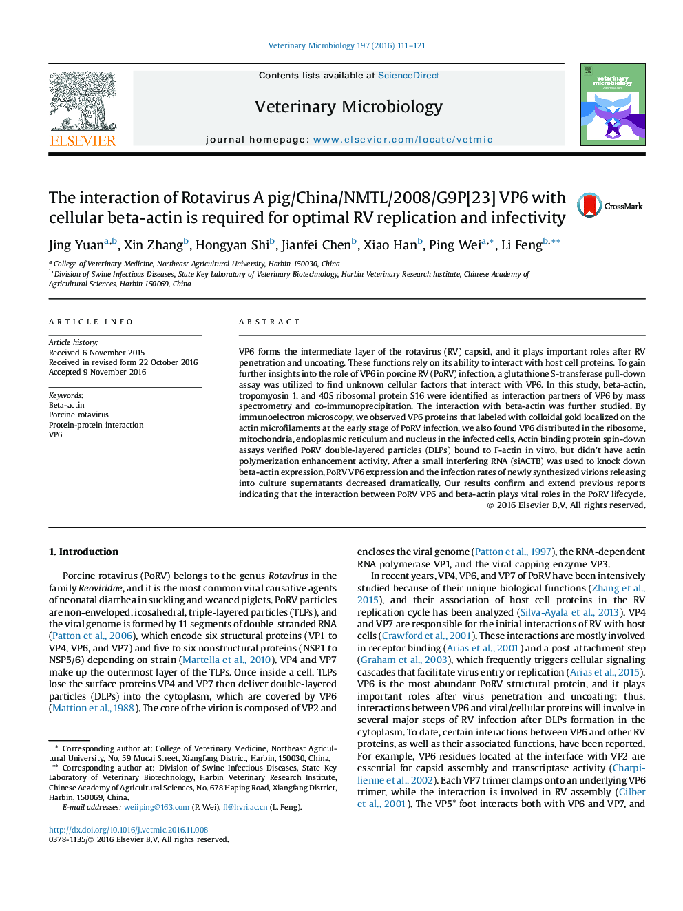 The interaction of Rotavirus A pig/China/NMTL/2008/G9P[23] VP6 with cellular beta-actin is required for optimal RV replication and infectivity