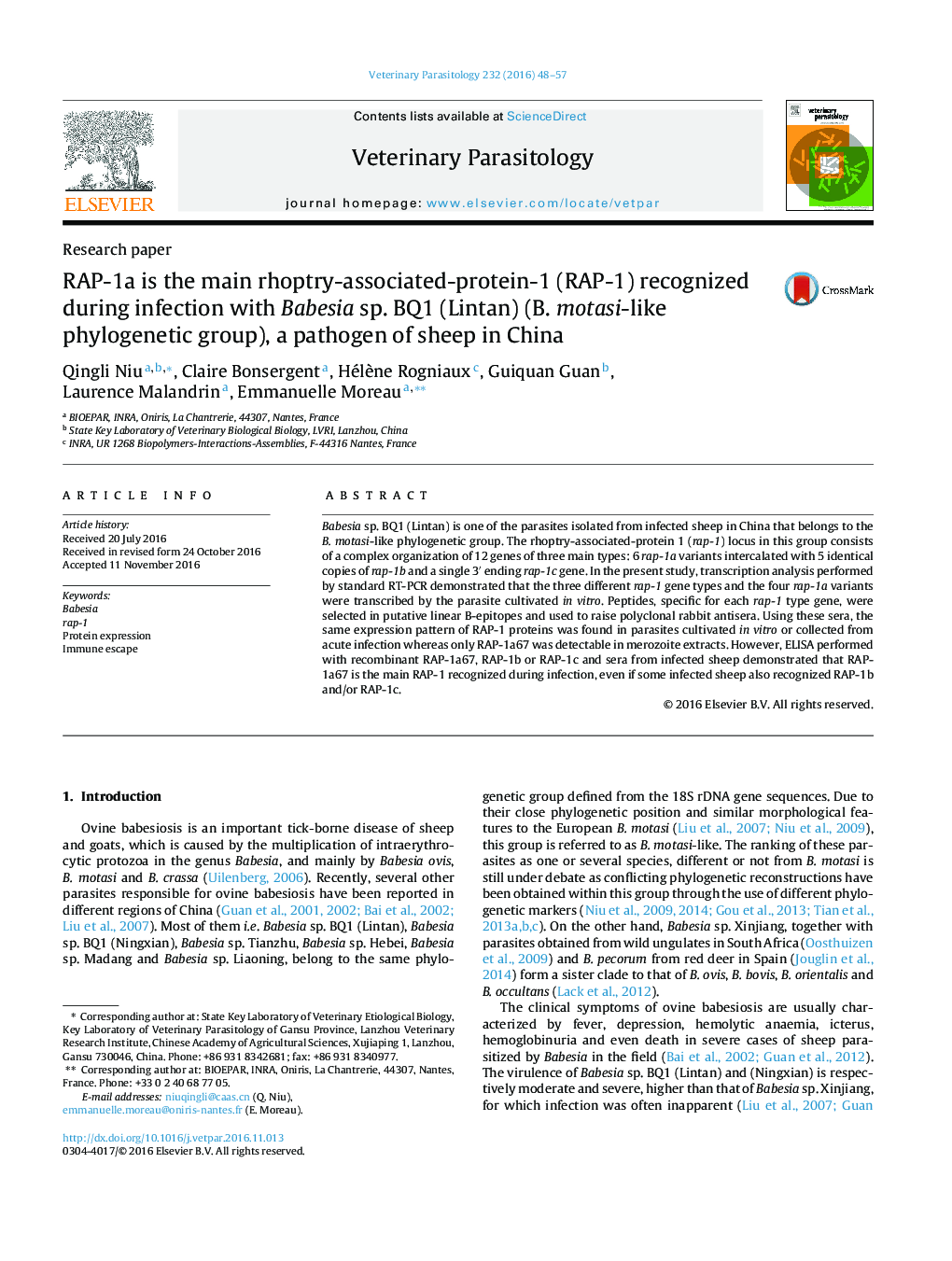 RAP-1a is the main rhoptry-associated-protein-1 (RAP-1) recognized during infection with Babesia sp. BQ1 (Lintan) (B. motasi-like phylogenetic group), a pathogen of sheep in China