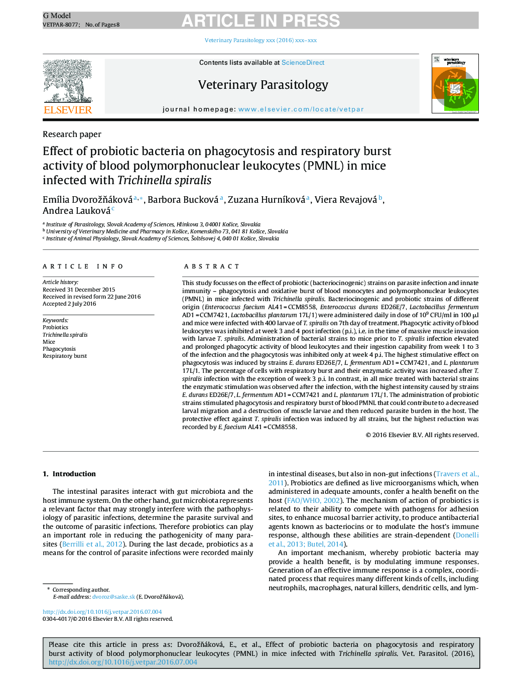 Effect of probiotic bacteria on phagocytosis and respiratory burst activity of blood polymorphonuclear leukocytes (PMNL) in mice infected with Trichinella spiralis