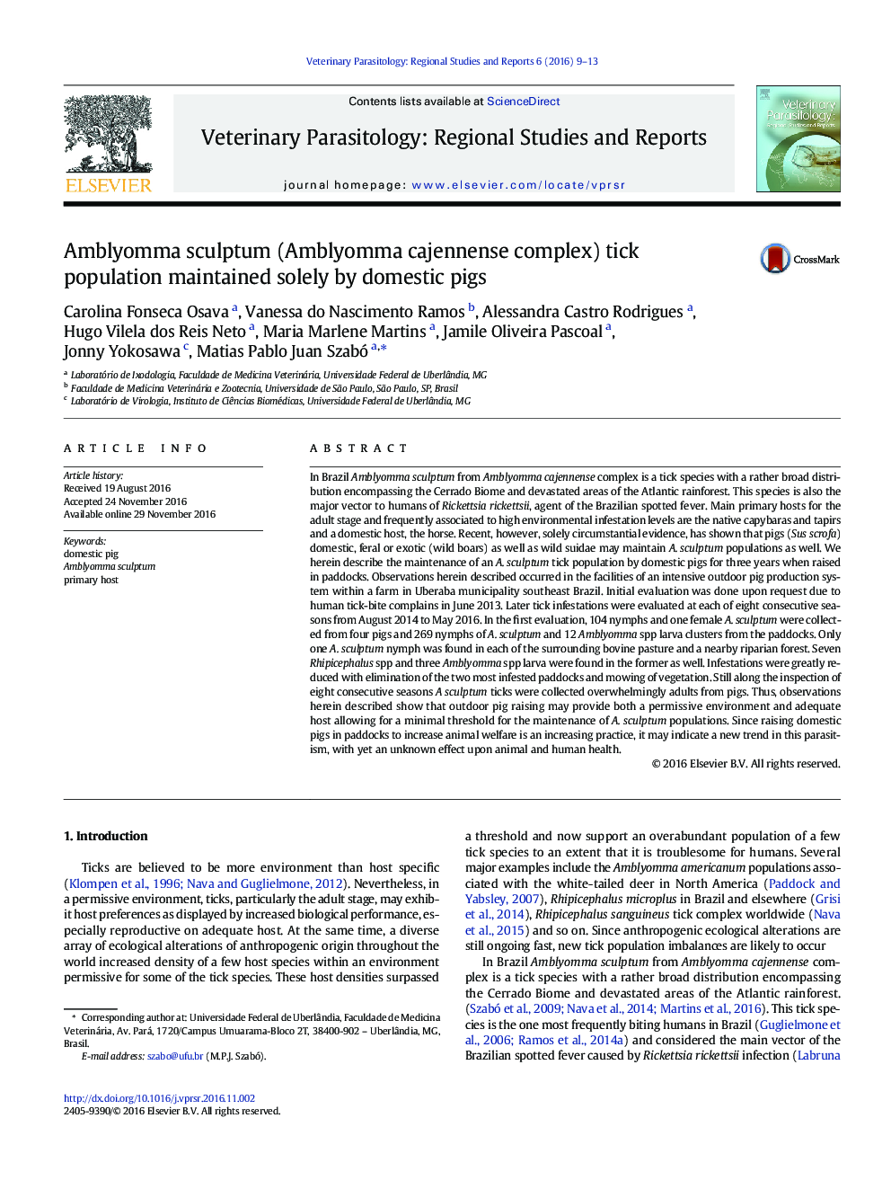 Amblyomma sculptum (Amblyomma cajennense complex) tick population maintained solely by domestic pigs