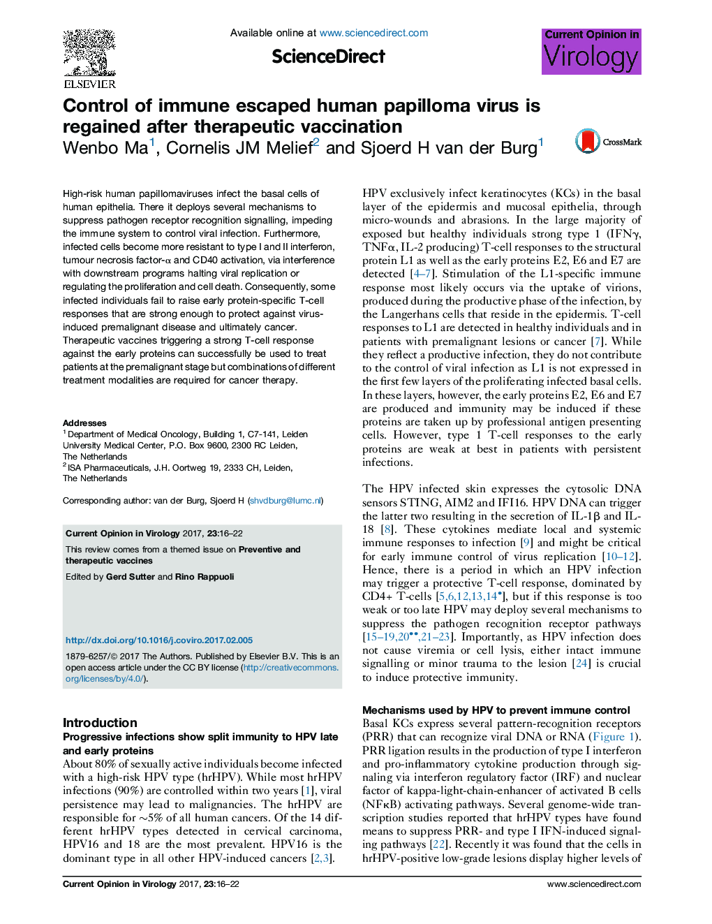 Control of immune escaped human papilloma virus is regained after therapeutic vaccination