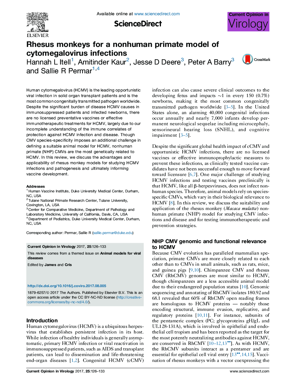 Rhesus monkeys for a nonhuman primate model of cytomegalovirus infections